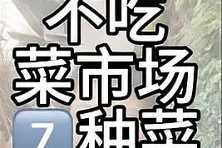 鲶鱼效应？格威加盟后黄蜂近6战5胜1负 期间仅输给勇士